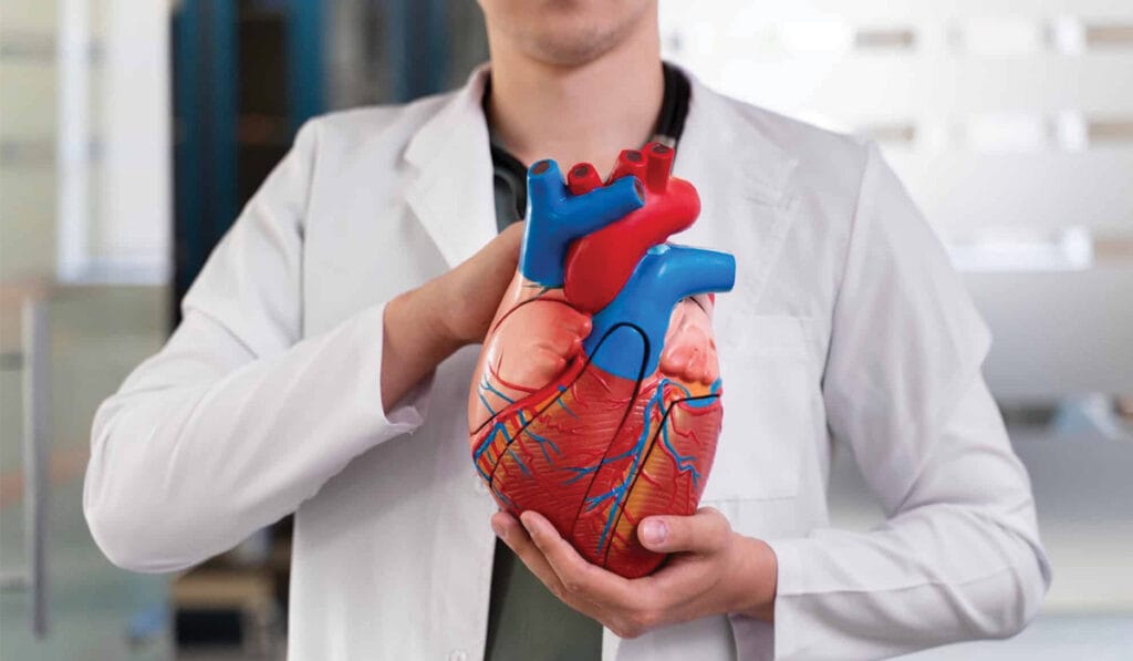 Heart Health Blood Tests Leicester