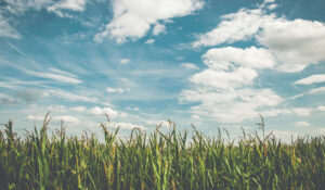 Hyperbaric Oxygen Therapy for Fertility Leicester