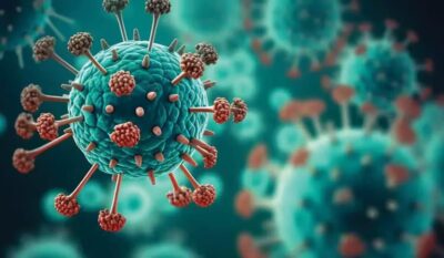 Private Human Metapneumovirus (HMP) Testing