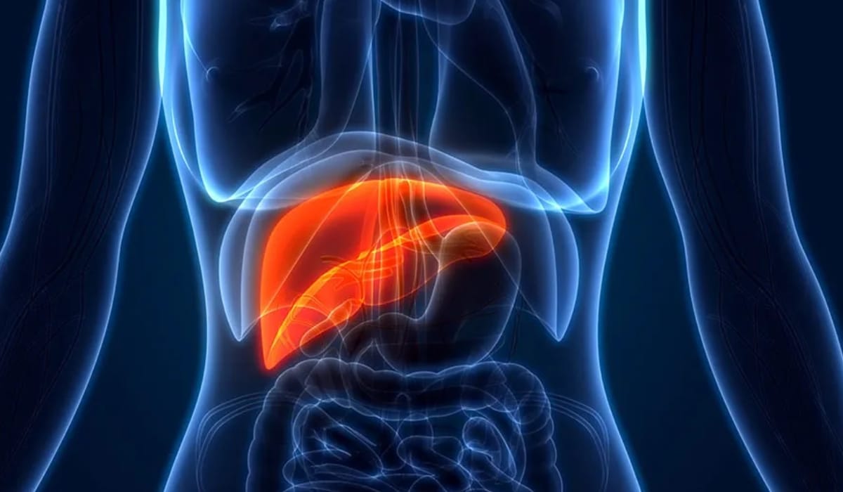 fibroscan Liver Health Assessment Leicester
