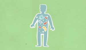 The Gut–Brain Connection