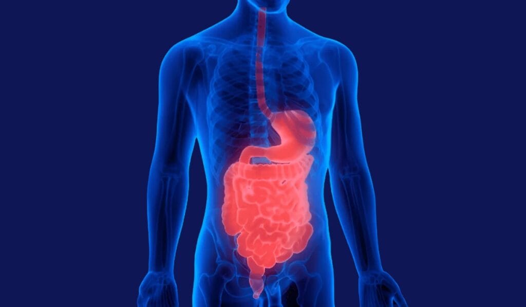 Gastroenterology in Leicester