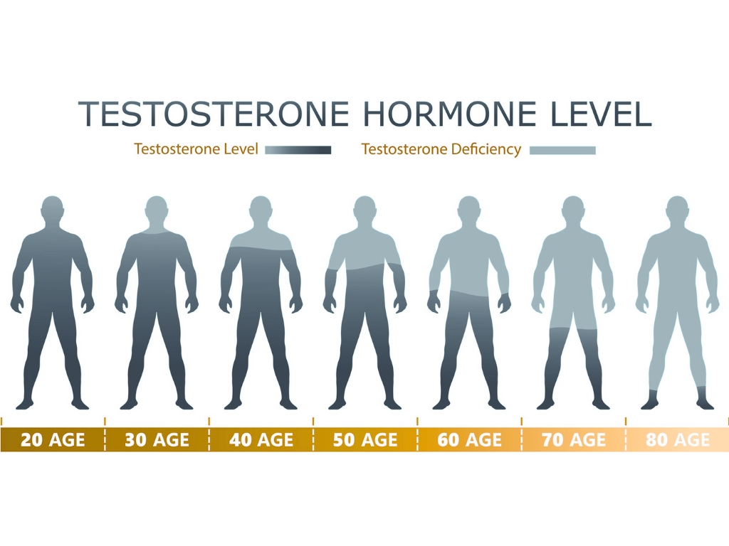 testosterone level