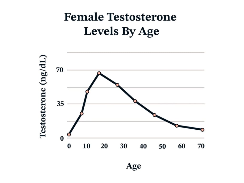 testosterone levels in women