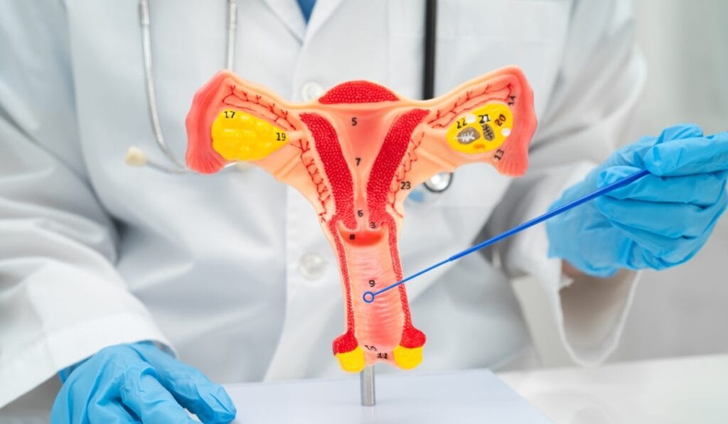 Why Cervical Smear Tests Are Important for Women