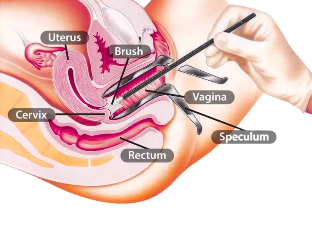 cervical smear tests